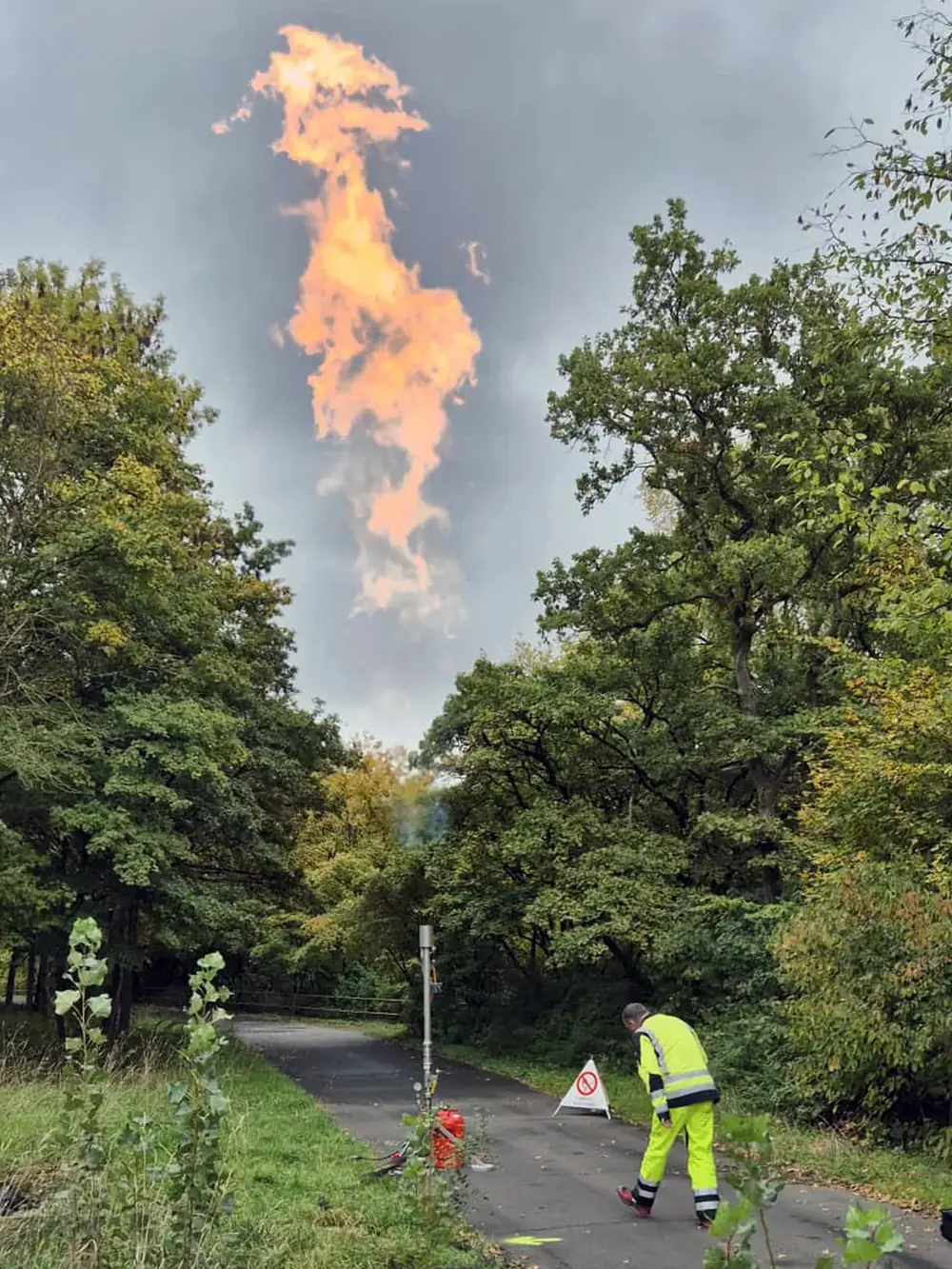 Gasfackel am Rand eines Waldwegs, die Flamme steht über den Baumkronen; ein Mitarbeiter in Warnkleidung sichert die Stelle ab.